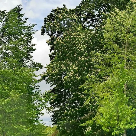 Gaestehaus Anglerklause Allstedt